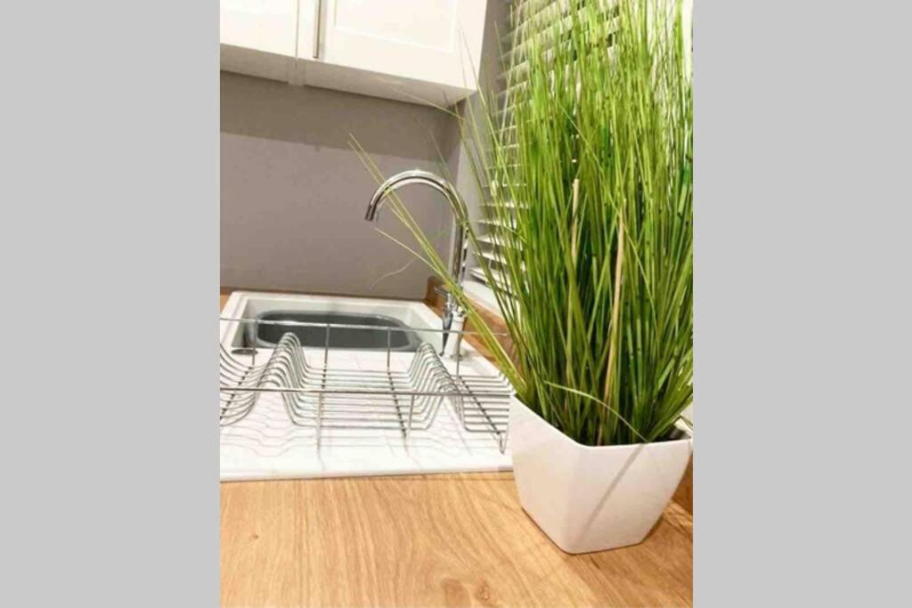 The Terrace Chester, Modern 3 Bed House Екстериор снимка